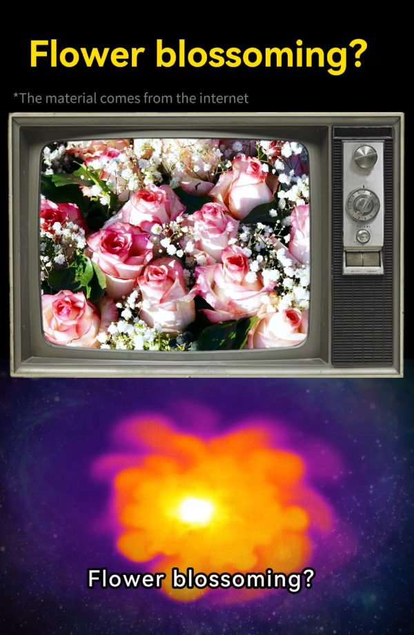 专题图片22-2.png