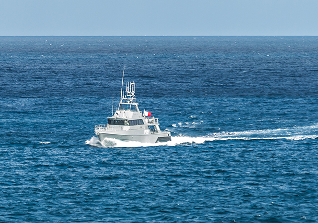 Инфракрасная тепловизионная съемка в исследованиях морской биологии